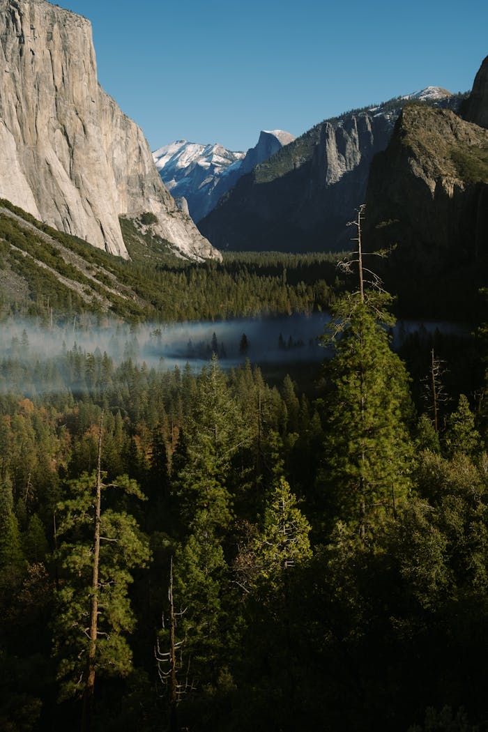 pexels photo 33643586.jpeg