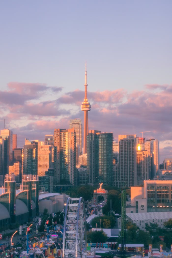 pexels photo 33646106.jpeg